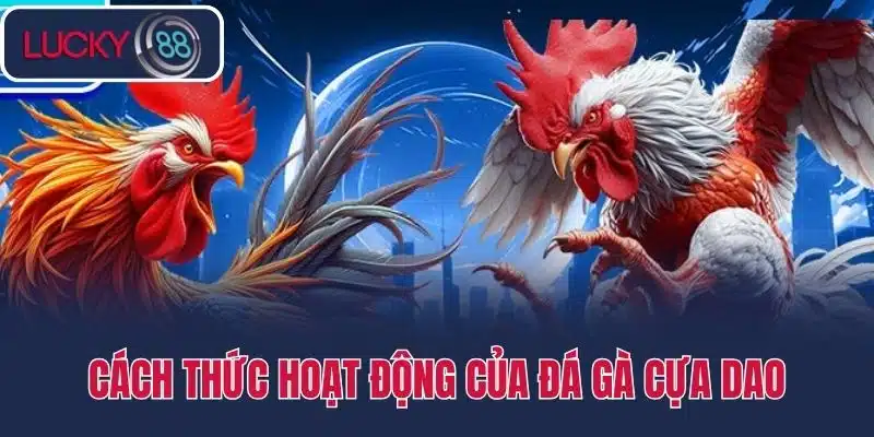Cách thức hoạt động của đá gà cựa dao