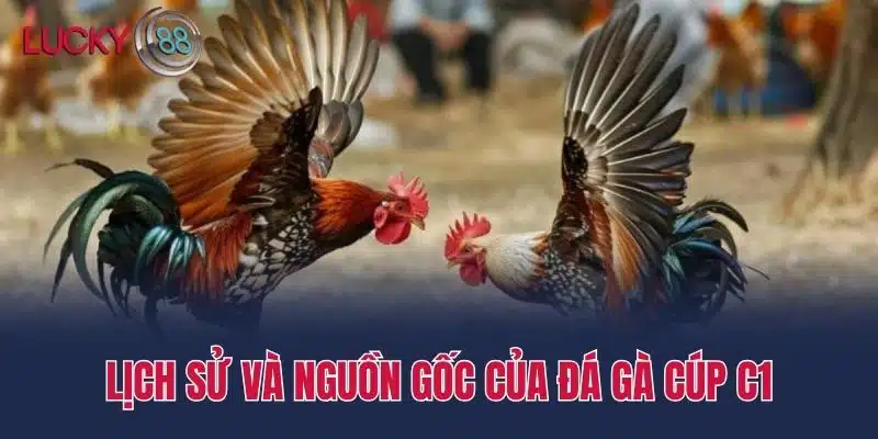 Lịch sử và nguồn gốc của đá gà cúp c1