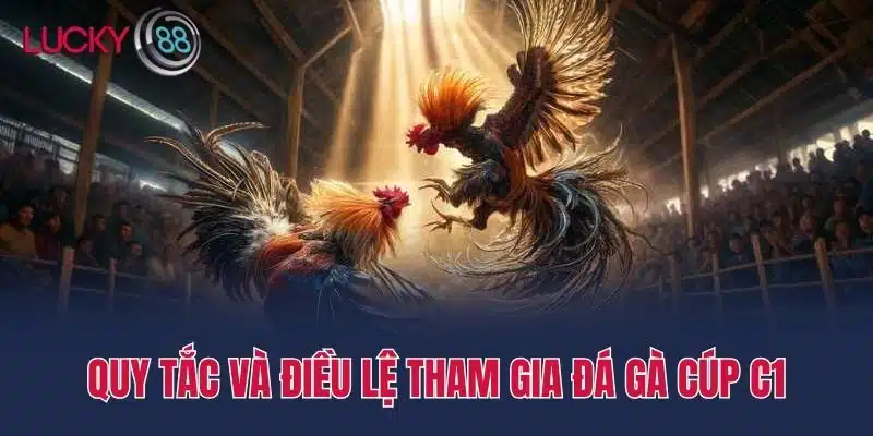 Quy tắc và điều lệ tham gia đá gà cúp c1