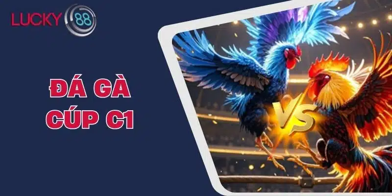 Đá Gà Cúp C1 - Trận Đấu Kịch Tính Và Chiến Thuật Hấp Dẫn