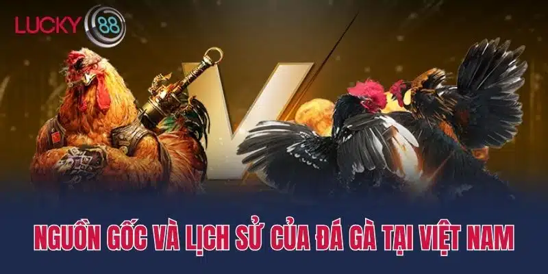 Nguồn gốc và lịch sử của đá gà tại Việt Nam