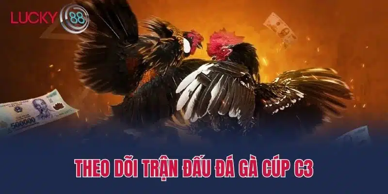 Theo dõi trận đấu Đá gà cúp c3
