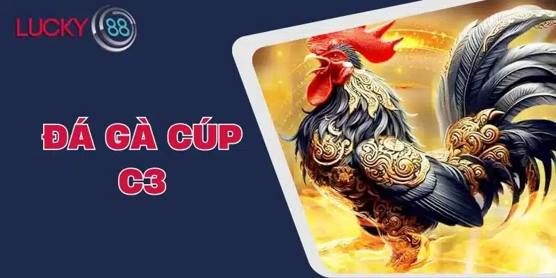 Đá Gà Cúp C3 - Những Điều Cần Biết Và Kinh Nghiệm Tham Gia