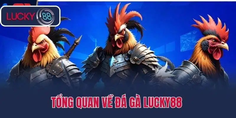 Tổng Quan Về Đá Gà Lucky88 