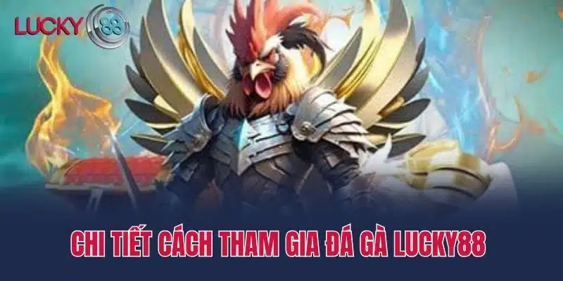 Chi Tiết Cách Tham Gia Đá Gà Lucky88