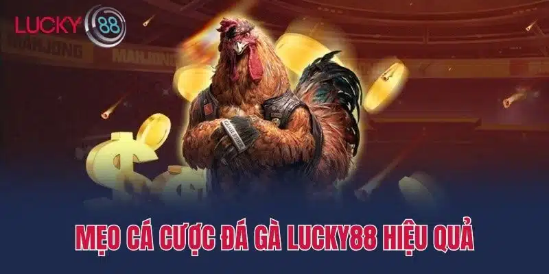 Mẹo Cá Cược Đá Gà Lucky88 Hiệu Quả