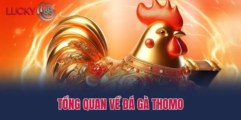 Tổng quan về Đá gà thomo