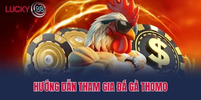 Hướng dẫn tham gia Đá gà thomo