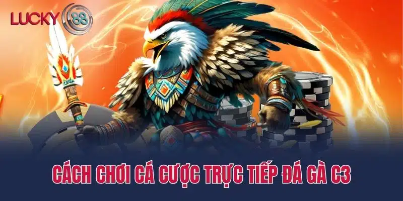 Cách chơi cá cược Trực tiếp đá gà c3