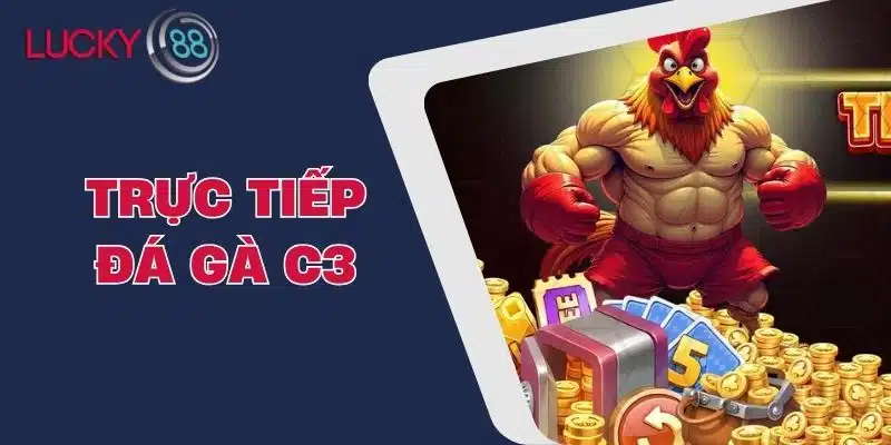 Trực Tiếp Đá Gà C3 - Xem Trận Đấu Hấp Dẫn Ngay Hôm Nay